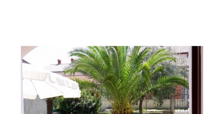 Leone Apartments With Free Parking Πούλα Εξωτερικό φωτογραφία